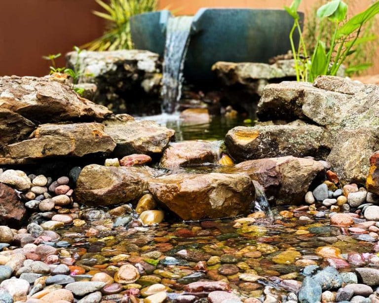 5 Best Pond Landscape Ideas for Your Backyard