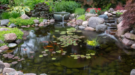 Koi Pond Construction Oklahoma City