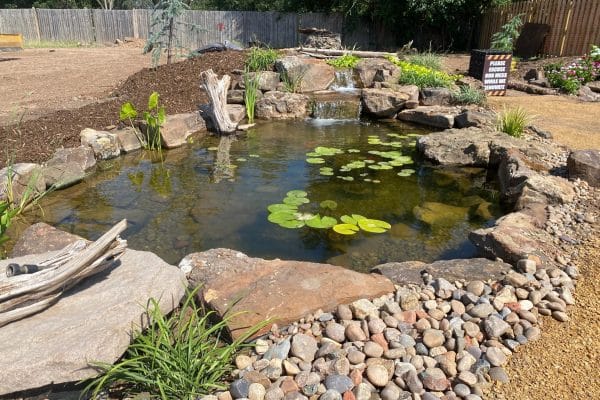 The Cost To Build A Large Koi Pond