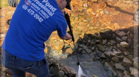 pond-cleaning-service