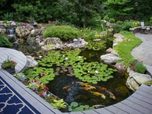 Performing Pond Maintenance On An Oklahoma City Pond