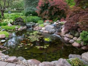 Performing Pond Maintenance On An Oklahoma City Pond