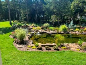 Performing Pond Maintenance On An Oklahoma City Pond