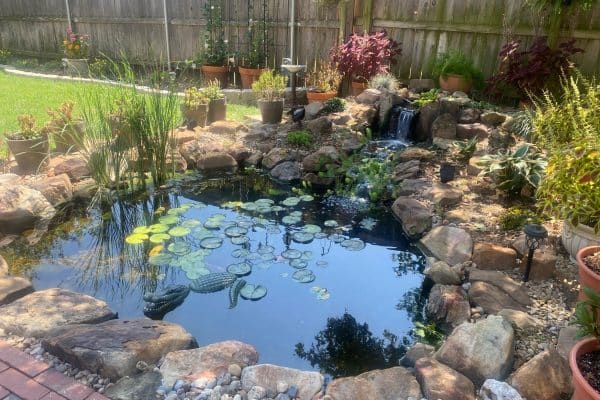 The Cost To Build A Small Koi Pond