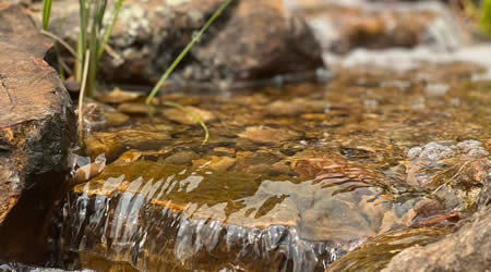 Stream and Creek Bed Construction