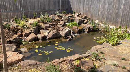 Landscaping Surrounding A Koi Pond