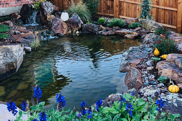 10 x 15 Koi Pond Construction