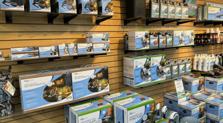 oklahoma ponds retail website pictures