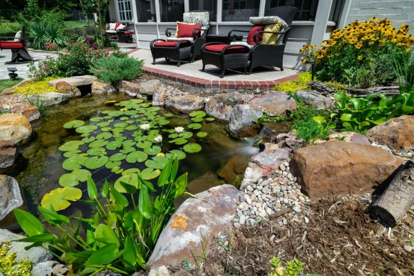 6pk Once A Year Pond Plant Fertilizer Capsules- INSTALLED - Image 3